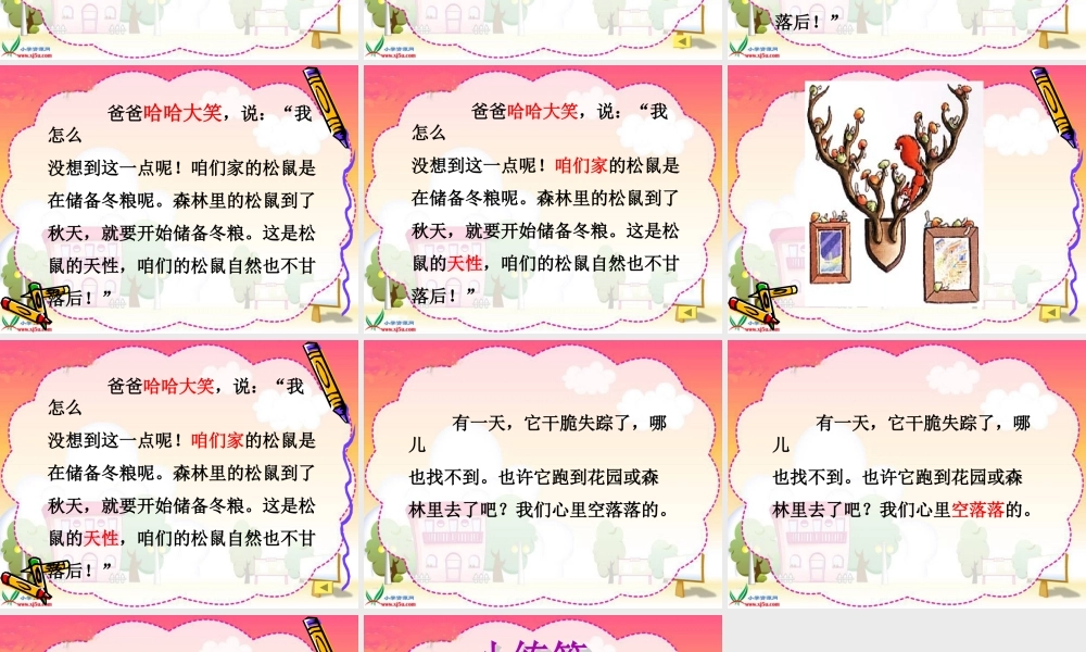 六年级语文课件《跑进家来的松鼠》