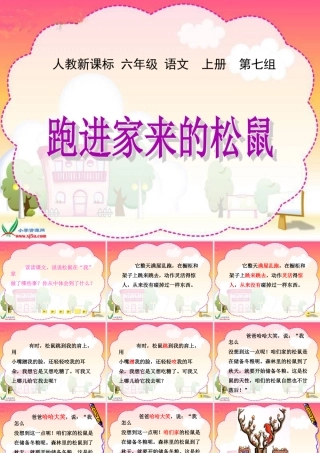 六年级语文课件《跑进家来的松鼠》