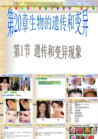 遗传和变异现象