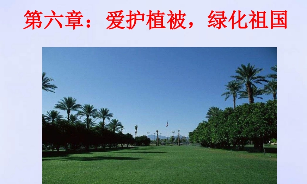 爱护植被，绿化祖国