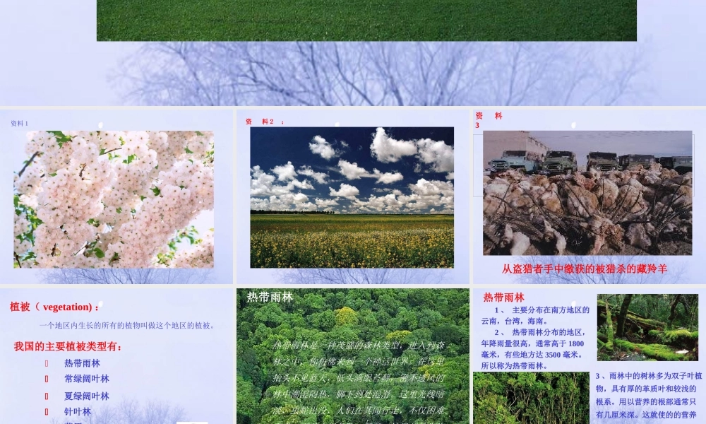 爱护植被，绿化祖国