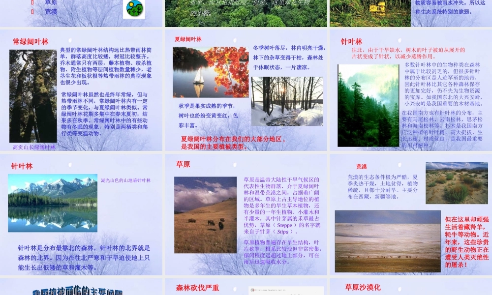 爱护植被，绿化祖国