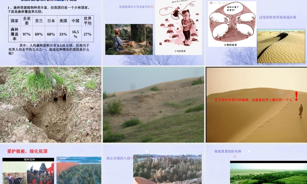 爱护植被，绿化祖国