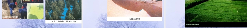 爱护植被，绿化祖国