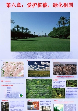 爱护植被，绿化祖国