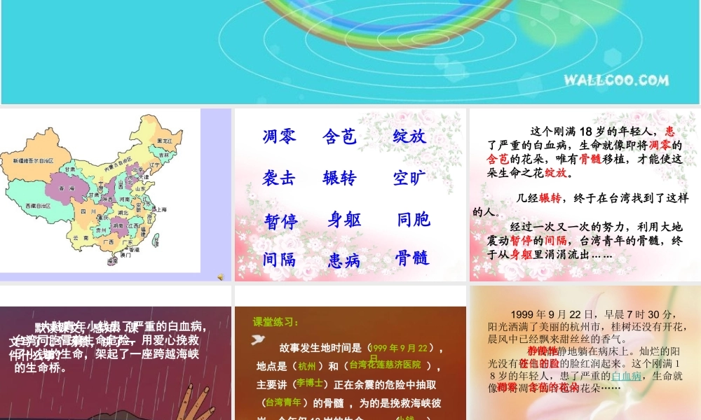 跨越海峡的生命桥完美版