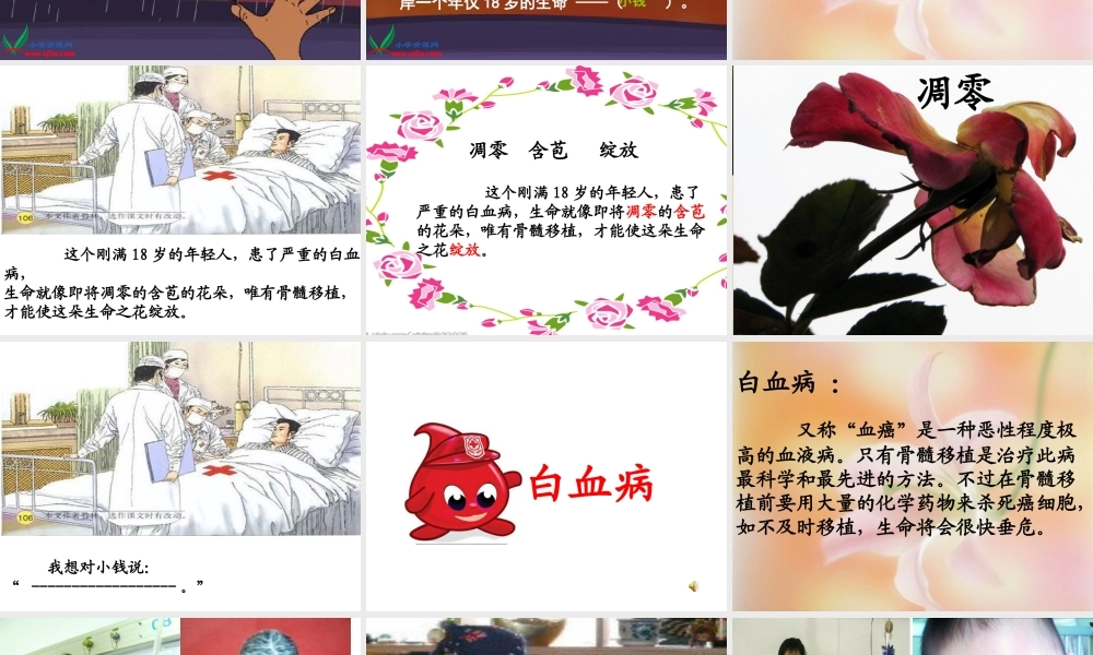 跨越海峡的生命桥完美版