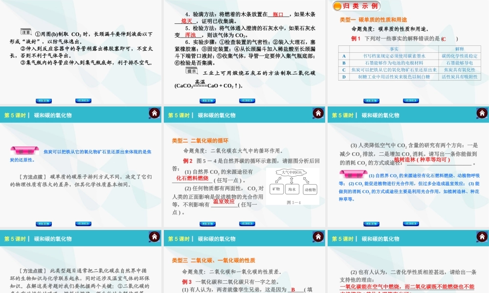 碳和碳的氧化物