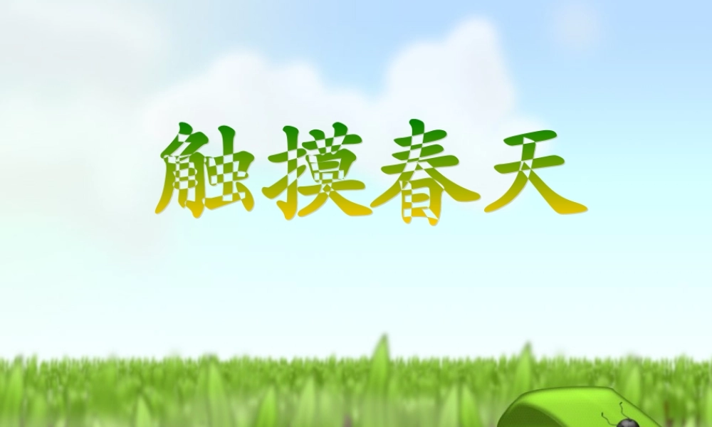触摸春天课件07