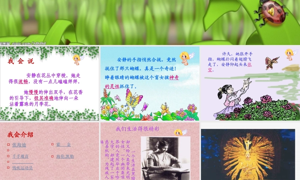 触摸春天课件07