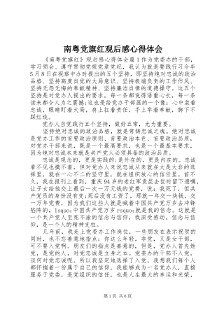 南粤党旗红观后感心得体会