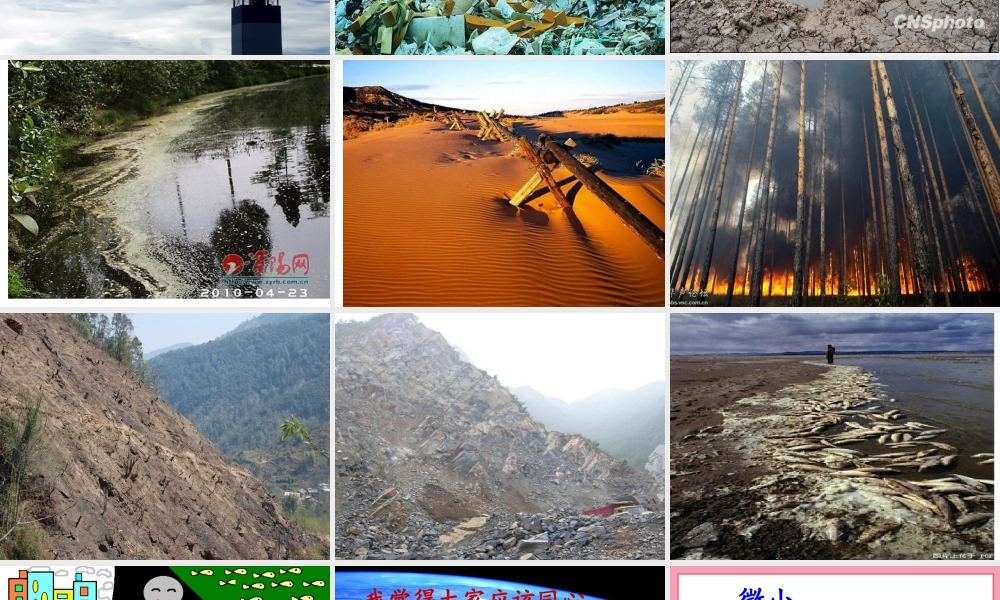 《可爱的地球》课件