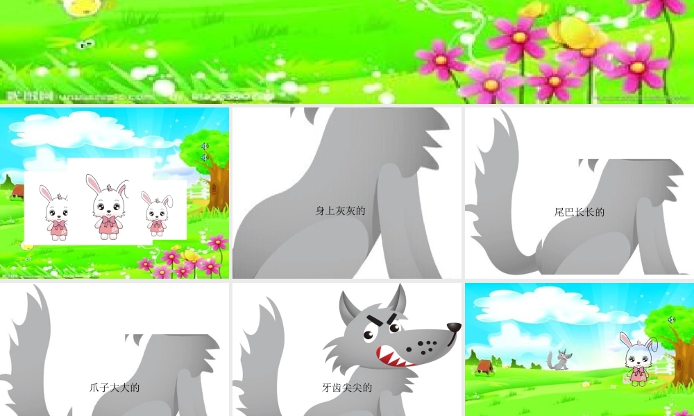 小白兔和大灰狼