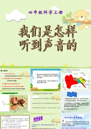 我们是怎样听到声音的