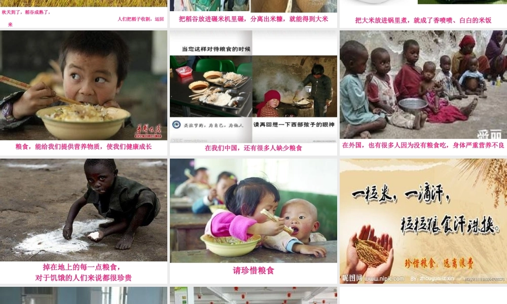 社会活动：白白的米饭哪里来