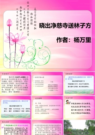 《晓出净慈寺送林子方》