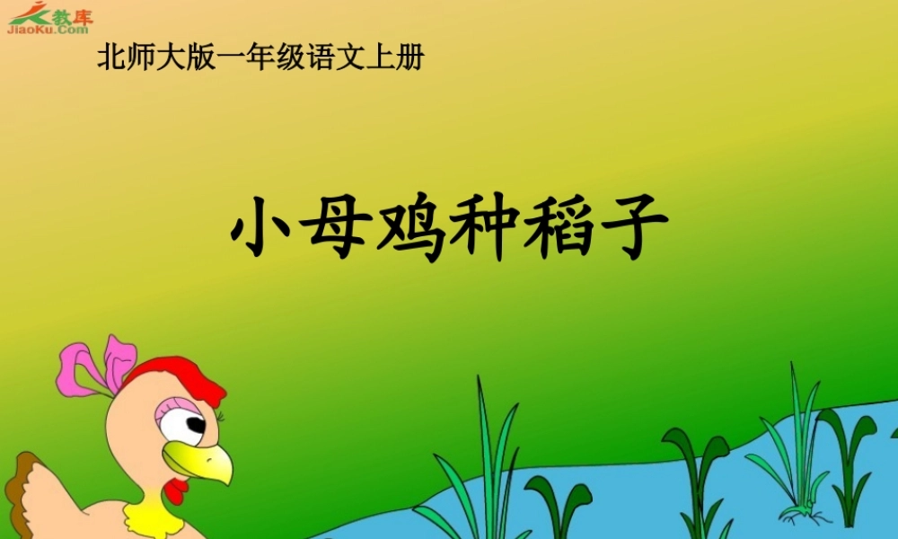 小母鸡种稻子课件