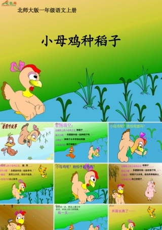 小母鸡种稻子课件