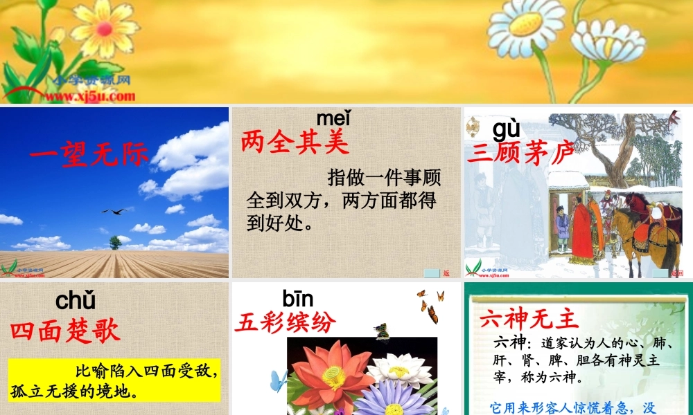 西师大版二年级语文上册《有趣的成语》PPT课件