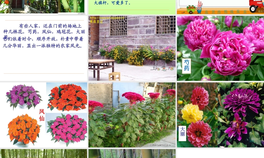 人教版四年级下册语文课件《乡下人家》 (2)