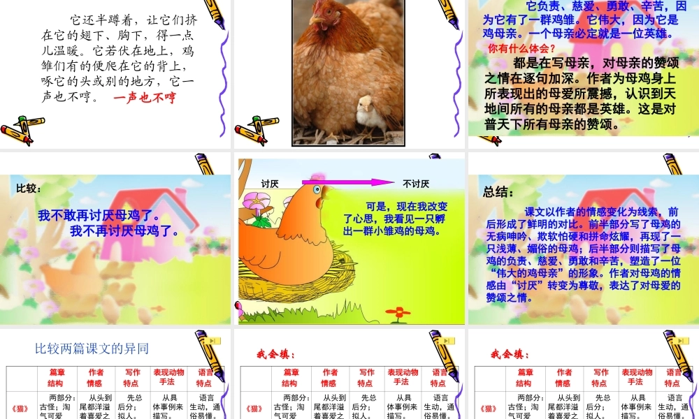《母鸡》 (2)