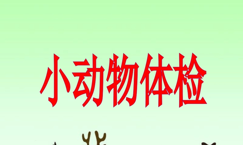 《小动物体检》教学课件