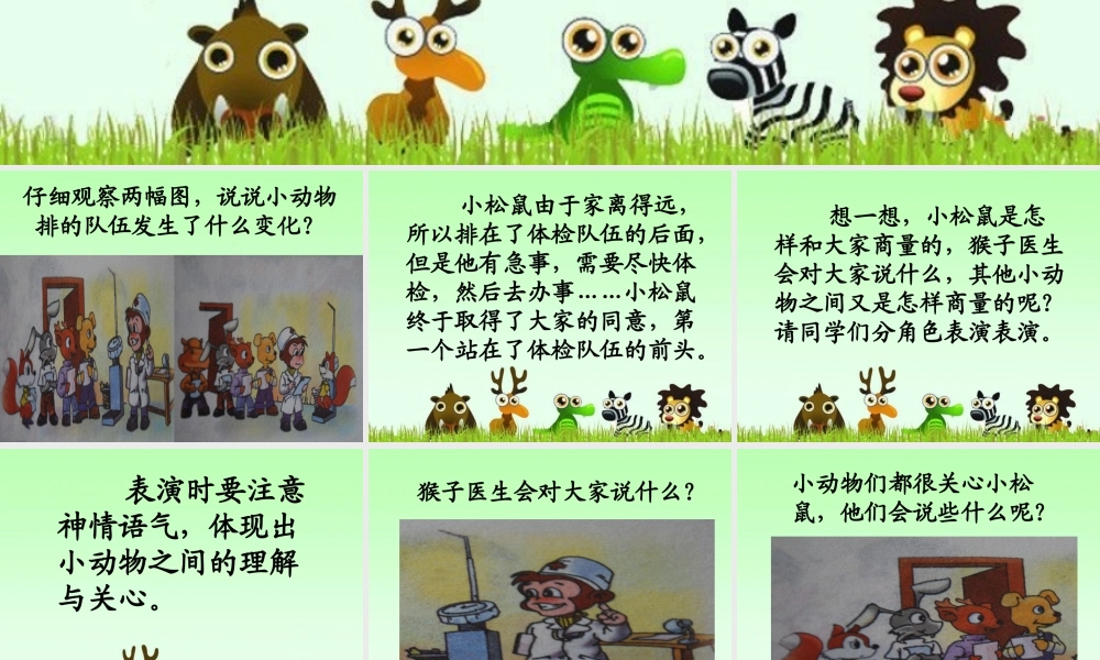 《小动物体检》教学课件