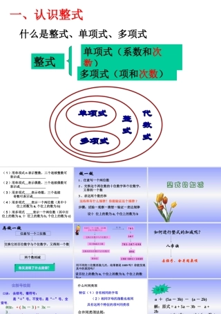 整式的加减 (2)