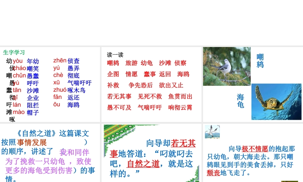 自然之道教学课件