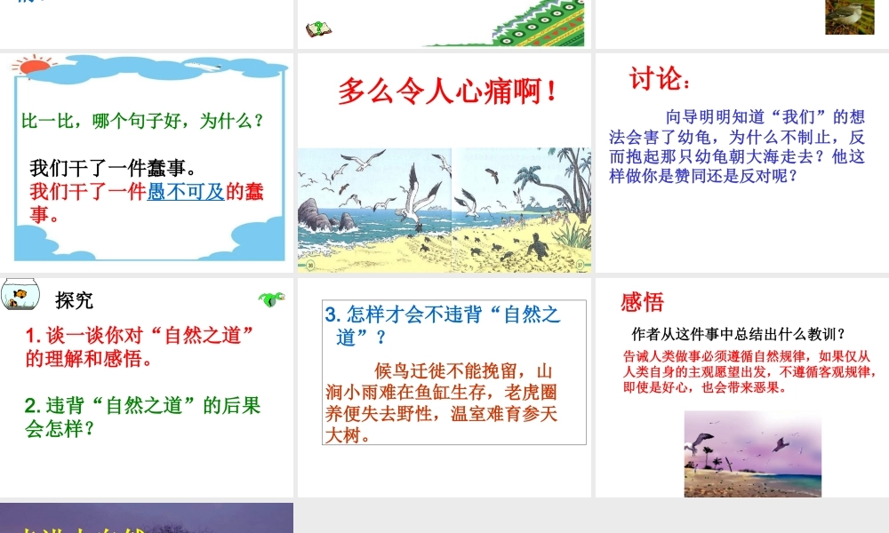 自然之道教学课件