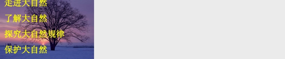 自然之道教学课件