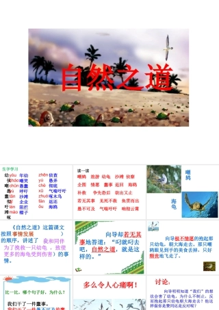 自然之道教学课件