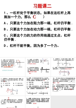 杠杆习题课课件