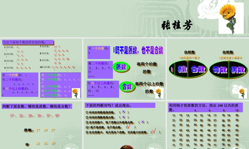 质数与合数课件