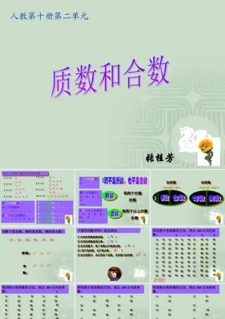 质数与合数课件