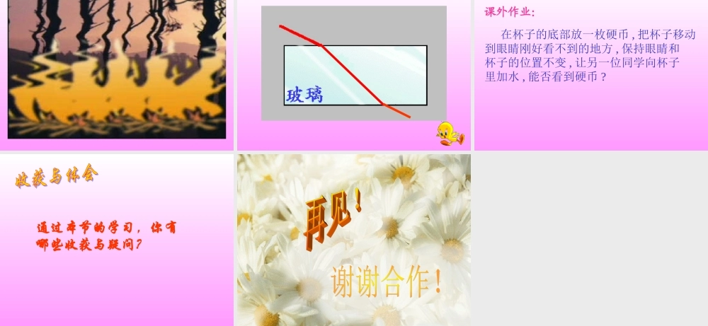 初中物理课件：光的折射