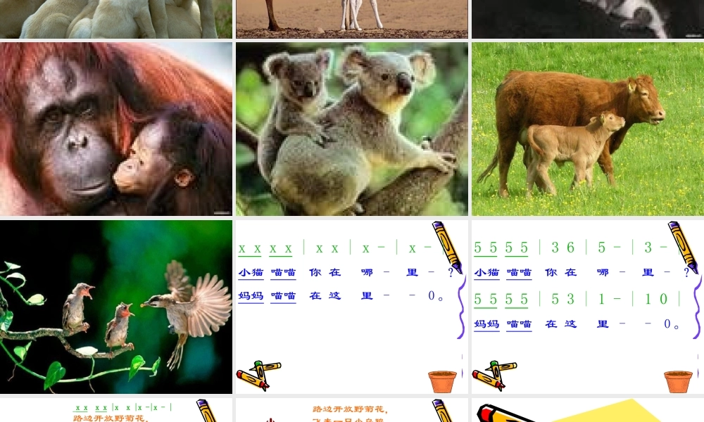 小乌鸦爱妈妈++张敏