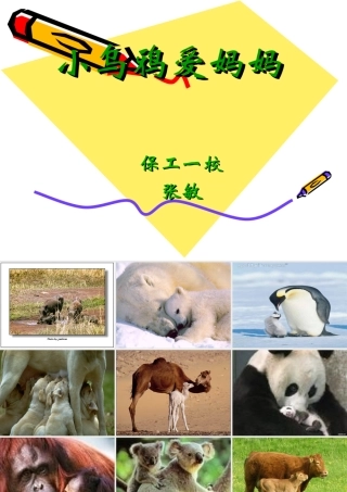 小乌鸦爱妈妈++张敏