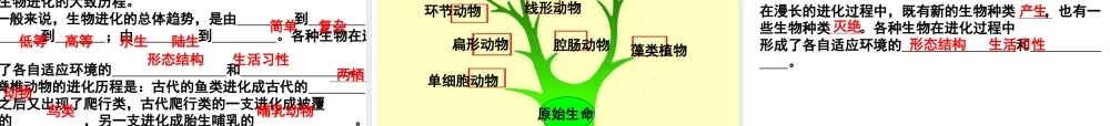 2014八年级下册期末提纲