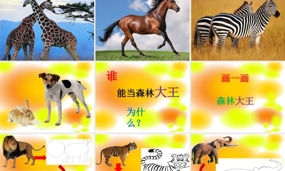 美术课件《森林王国》