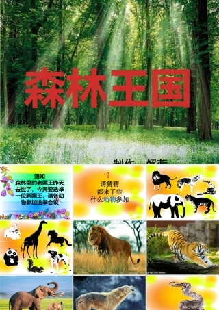 美术课件《森林王国》