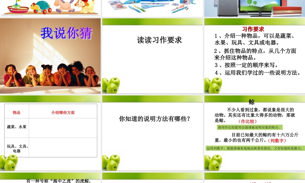 介绍一种物品指导课—赵佩