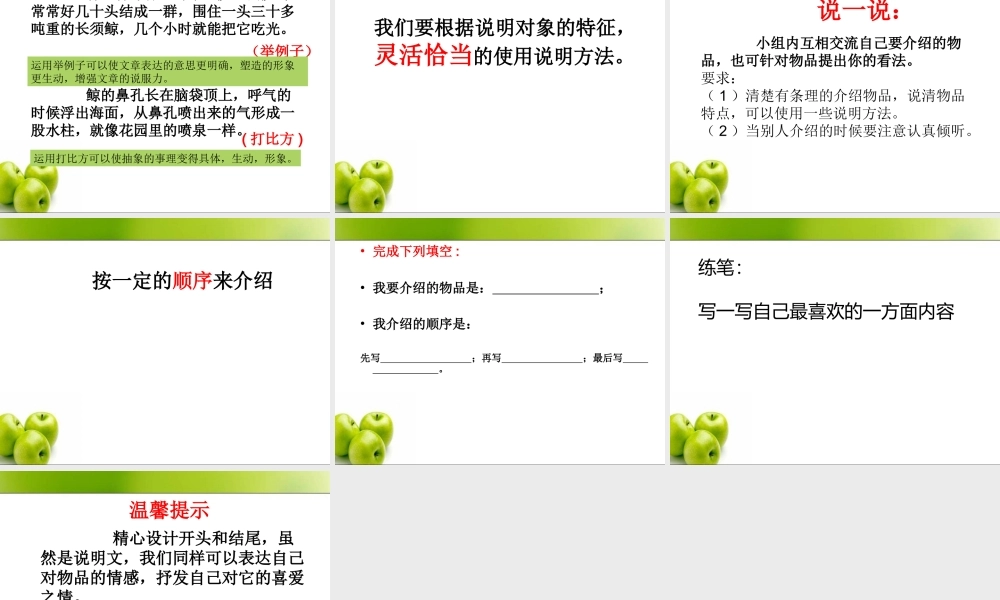 介绍一种物品指导课—赵佩