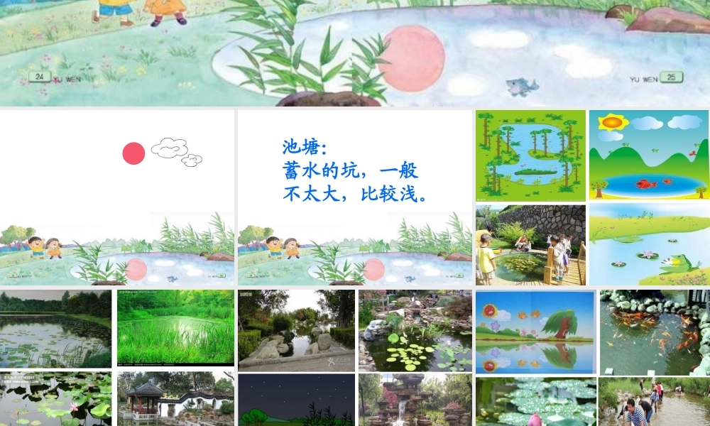 《小池塘》课件11