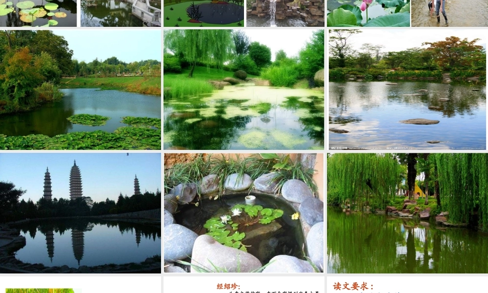 《小池塘》课件11