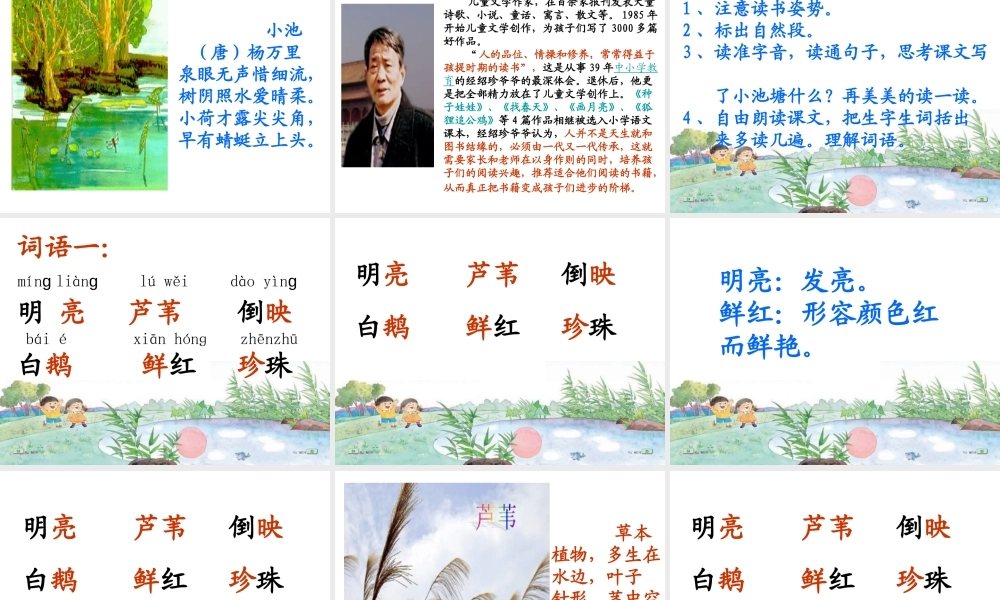 《小池塘》课件11