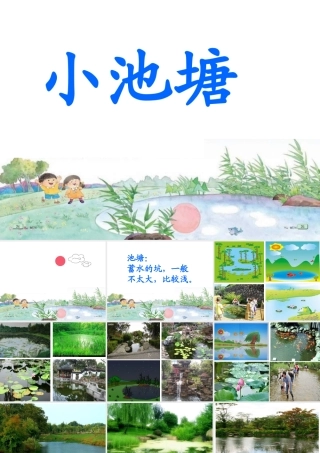 《小池塘》课件11