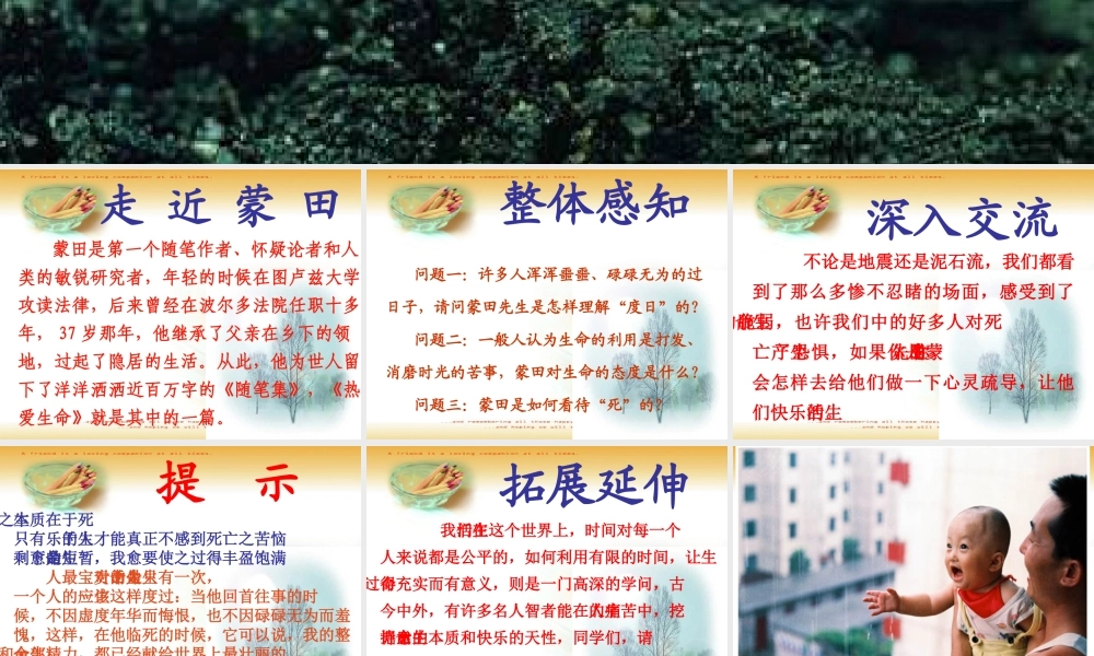 热爱生命 (3)
