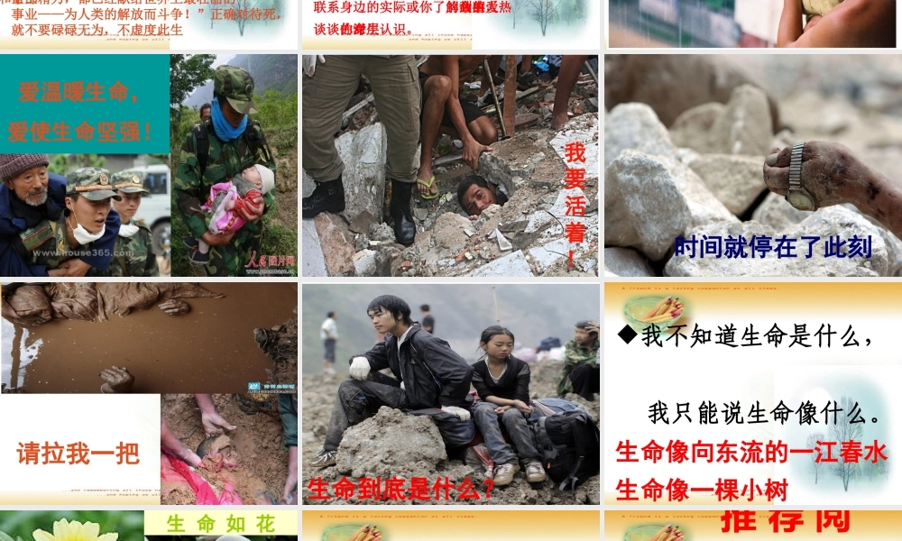 热爱生命 (3)