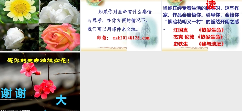 热爱生命 (3)
